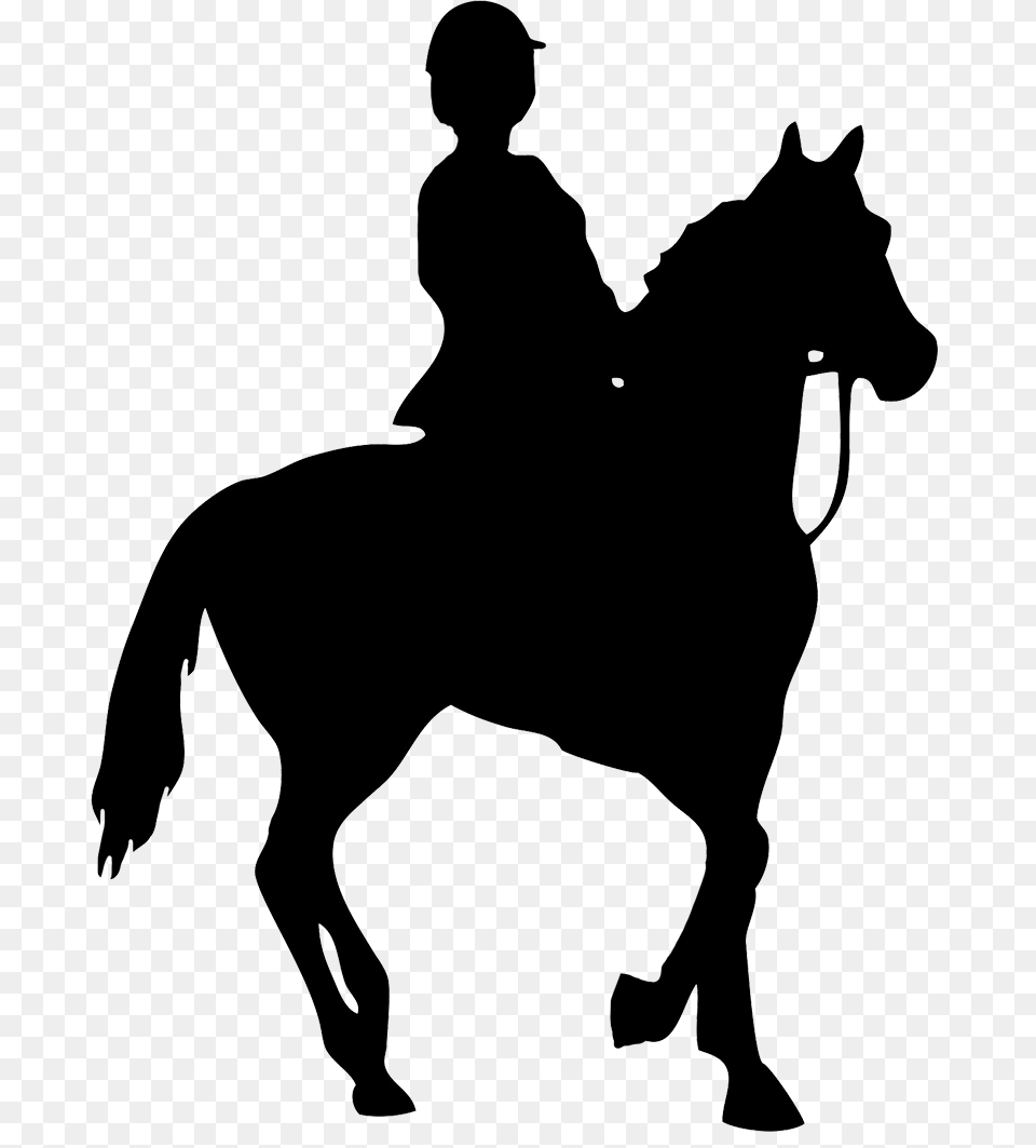 Horse Silhouette, Animal, Mammal, Adult, Female Free Png Download