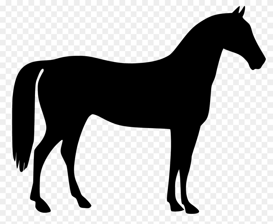 Horse Silhouette, Animal, Mammal, Colt Horse Png