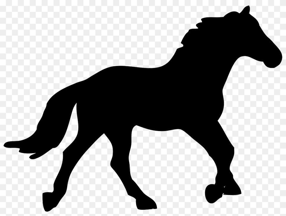 Horse Silhouette, Animal, Colt Horse, Mammal Png Image