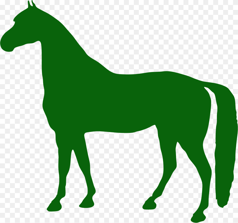 Horse Silhouette, Animal, Colt Horse, Mammal Png