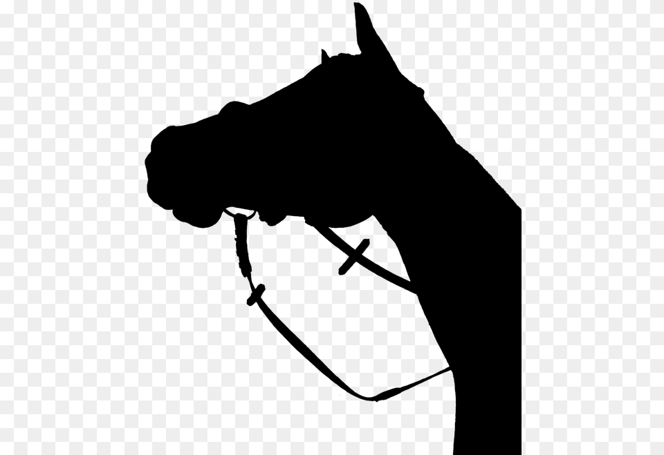 Horse Silhouette Black Horse Head Silhouette, Gray Free Png Download