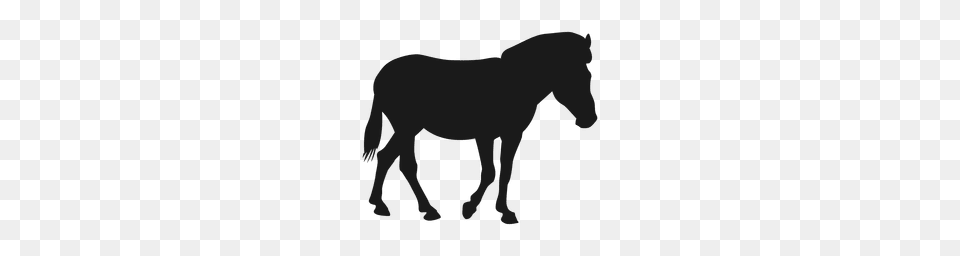 Horse Silhouette Clipart Free Clipart, Animal, Mammal, Colt Horse, Canine Png