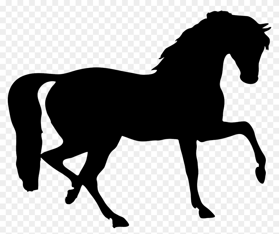 Horse Silhouette Derby Horse Silhouette, Animal, Mammal, Stallion, Colt Horse Png Image