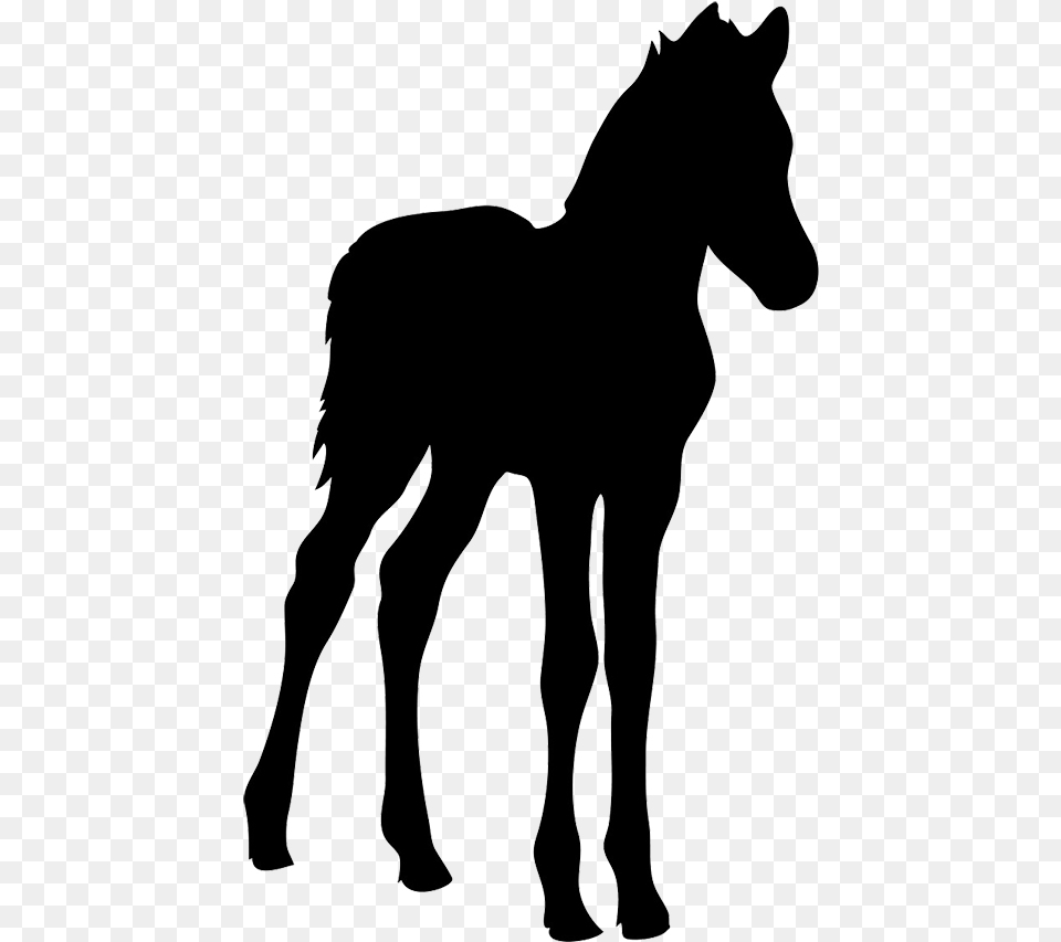 Horse Silhouette Foal Silhouette, Animal, Mammal, Colt Horse, Person Free Png