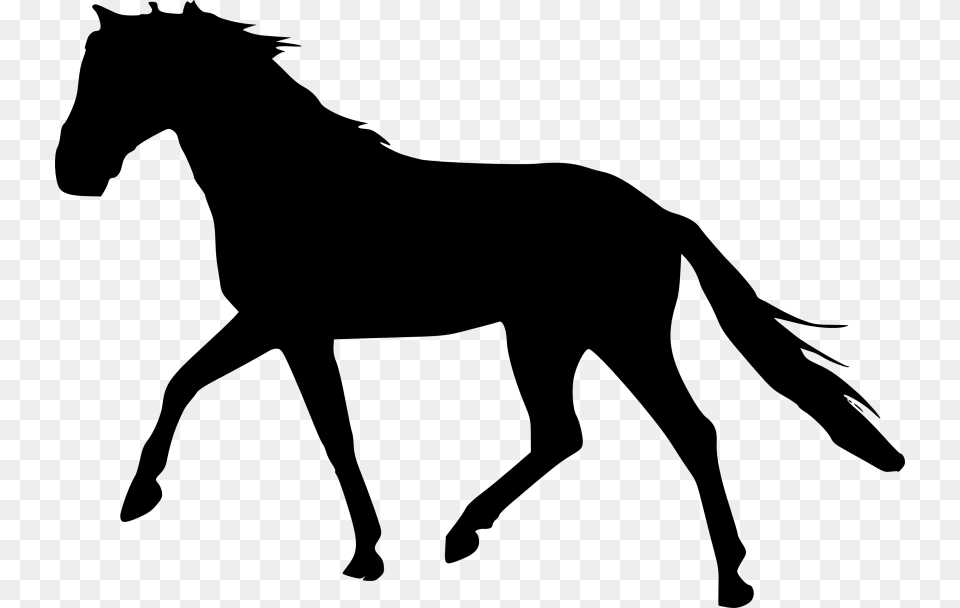 Horse Silhouette Horse Silhouette, Gray Free Png Download