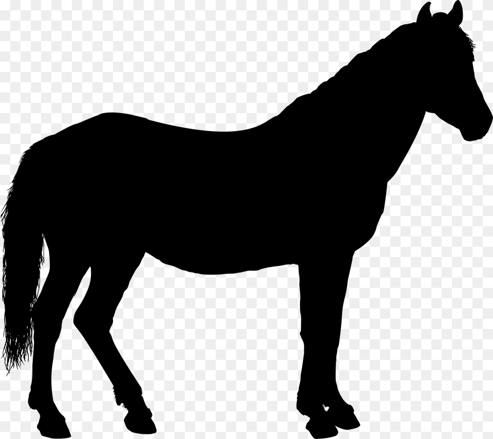 Horse Silhouette Icons, Gray Free Transparent Png