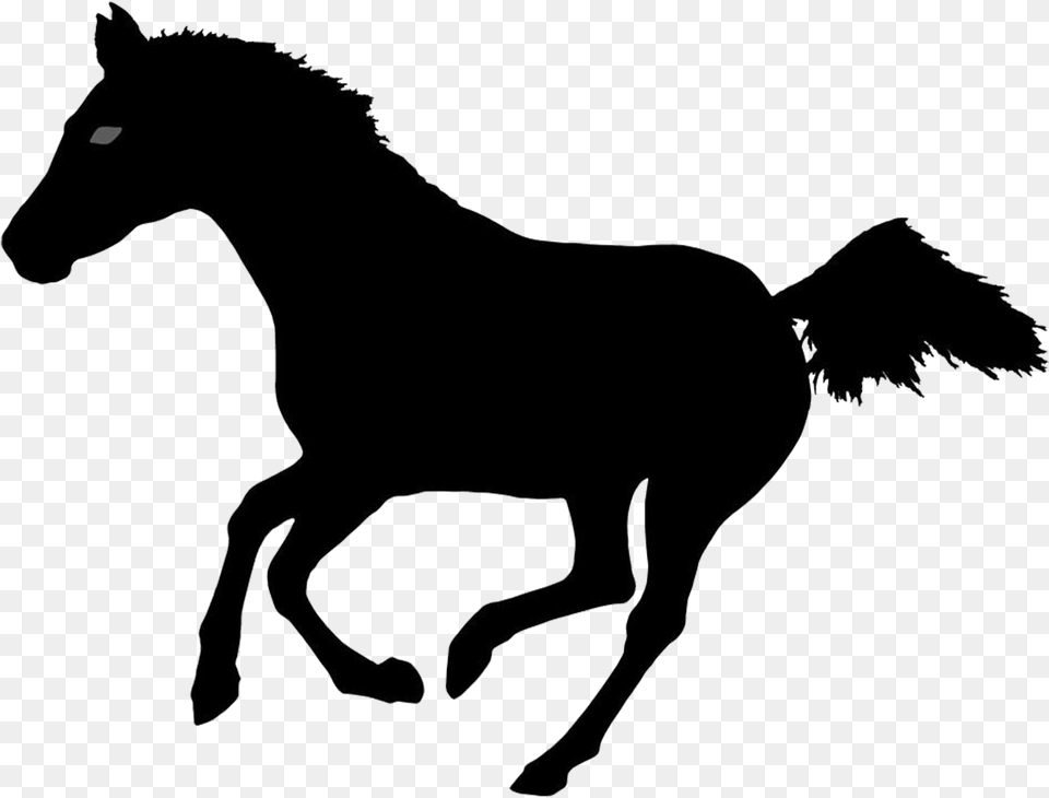 Horse Silhouette Photography Illustration Animated Silhouette Running Horse, Animal, Mammal, Colt Horse, Foal Free Png