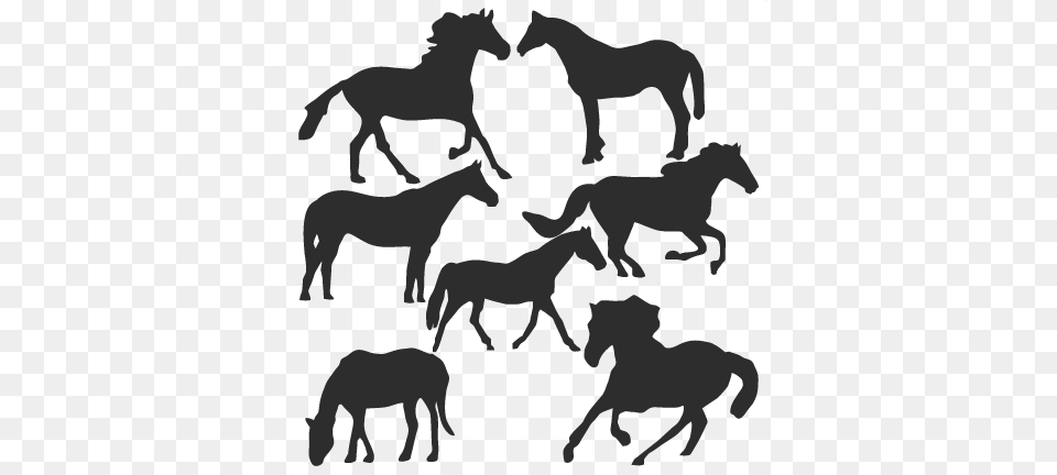 Horse Silhouette Set Svg Scrapbook Title Cat Svg Cut Quest For Marriage A Guy Friendly Relationship Book, Stencil, Animal, Mammal, Colt Horse Png Image