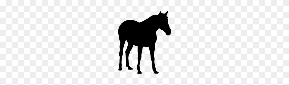 Horse Silhouette Silhouette Of Horse, Gray Free Png