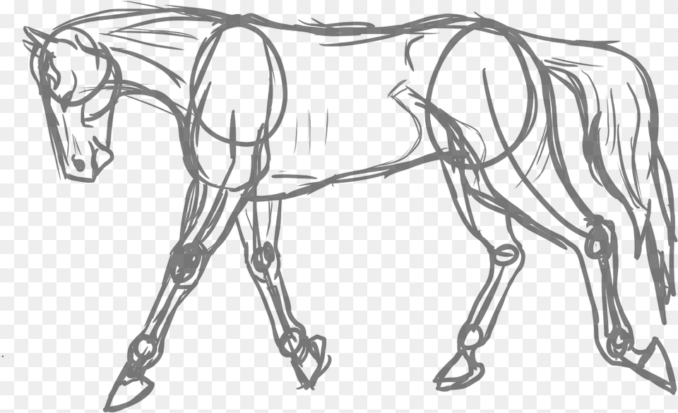 Horse Sketch By Meung12 Drawing Of Horse Gray Free Transparent Png