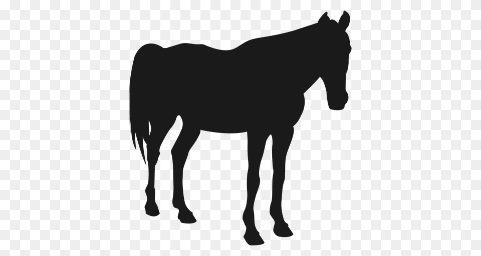 Horse Sleeping Silhouette, Animal, Mammal, Colt Horse Png Image