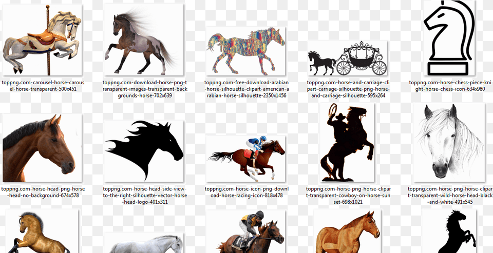 Horse Stallion, Person, Publication, Book, Comics Png