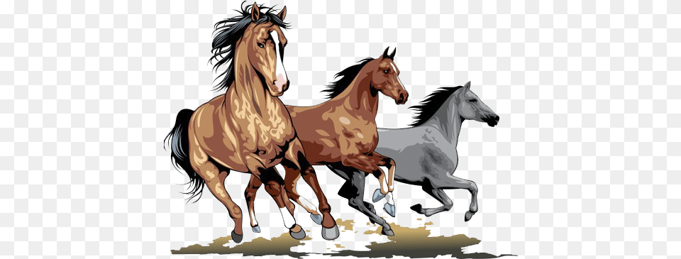 Horse Stallion Clip Art Running Horse, Animal, Colt Horse, Mammal Png