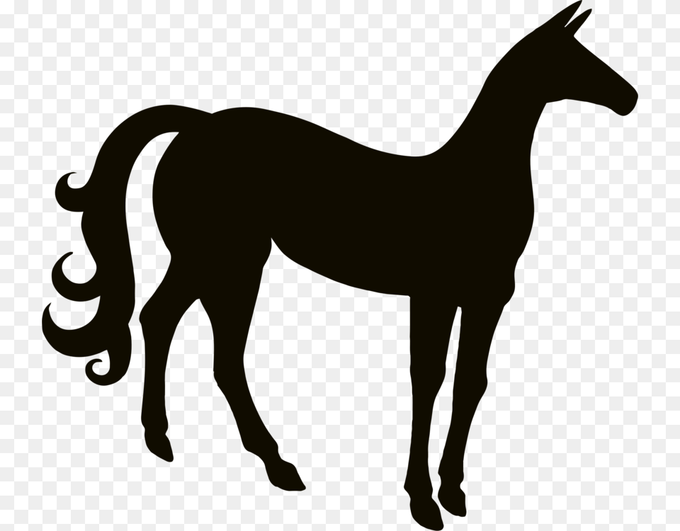 Horse Stallion Rearing Equestrian Silhouette, Animal, Colt Horse, Mammal, Person Png Image