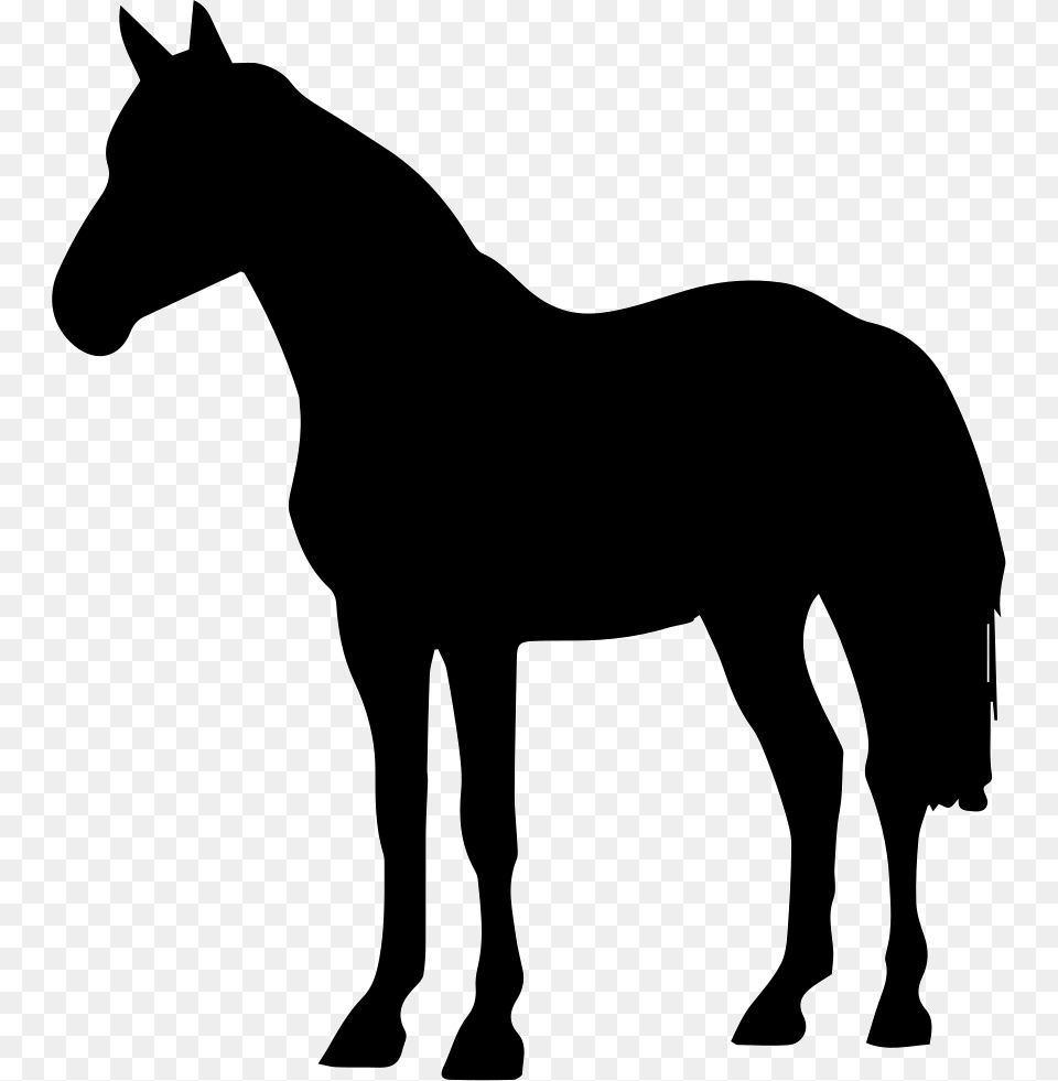 Horse Standing Black Shape Comments Quarter Horse Silhouette, Animal, Mammal, Colt Horse Free Transparent Png
