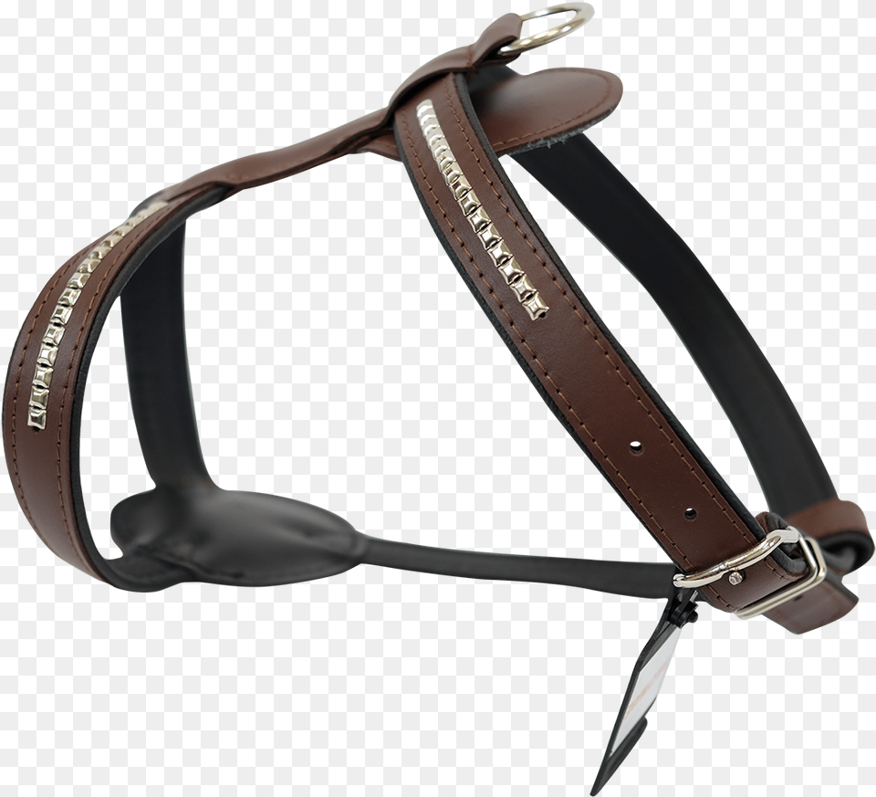 Horse Tack Horse Harness, Accessories, Strap Png Image