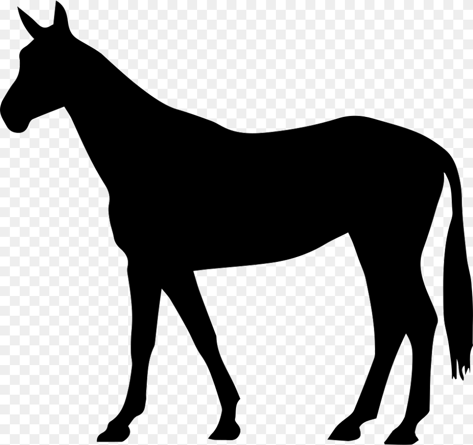 Horse Tail Arabian Horse Clipart, Silhouette, Stencil, Animal, Mammal Png