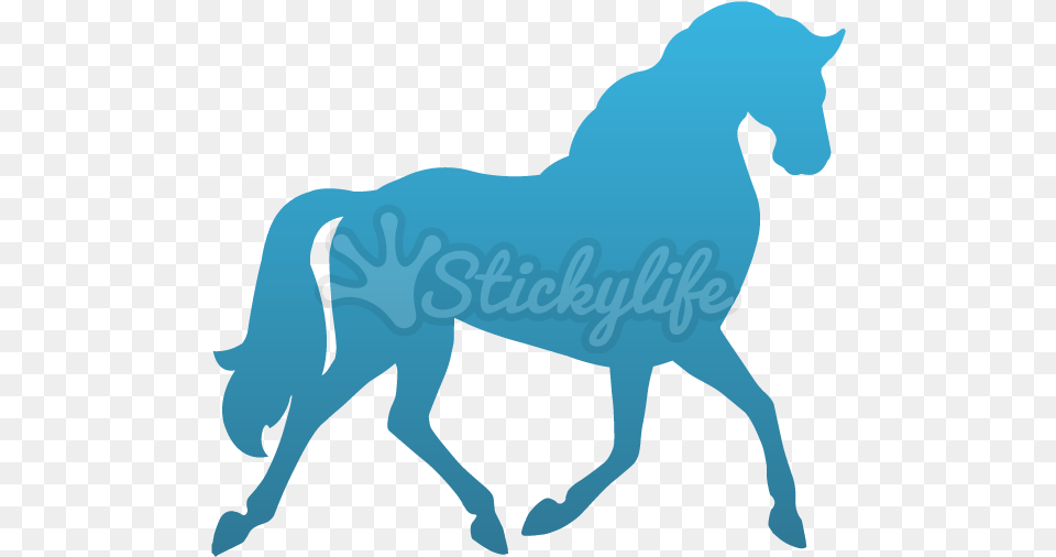 Horse Temporary Tattoo Cart Before The Horse Gif, Animal, Mammal, Colt Horse, Baby Png Image