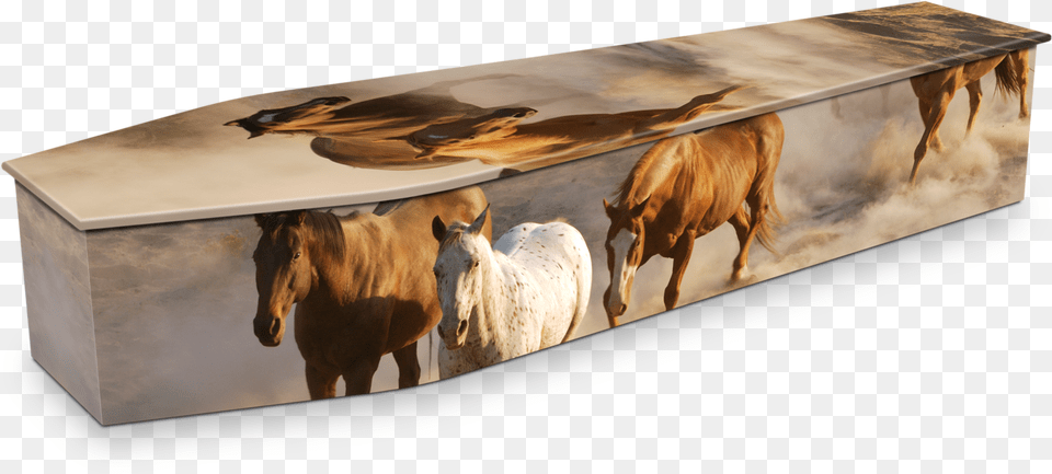 Horse Themed Casket, Furniture, Table, Animal, Mammal Free Transparent Png