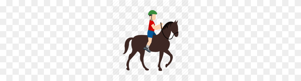 Horse Trainer Clipart, Boy, Child, Person, Male Png Image