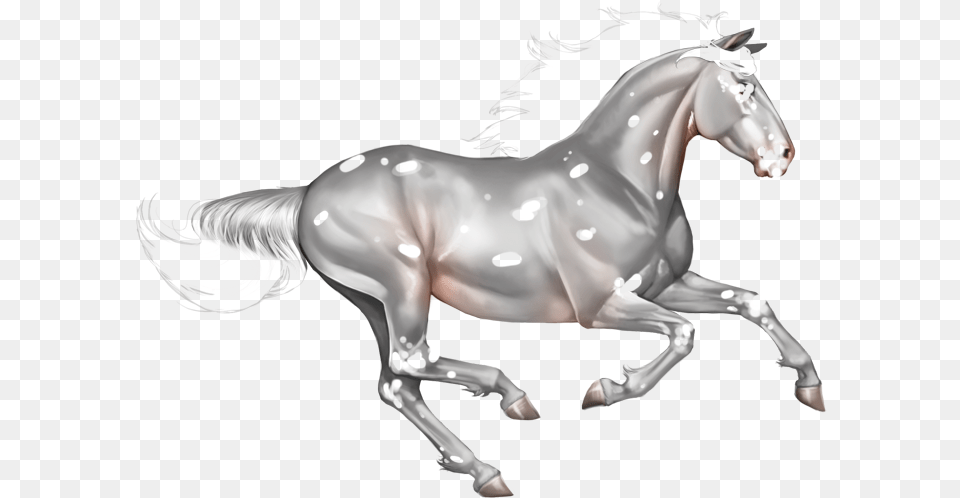 Horse Transparent Image Gold, Andalusian Horse, Animal, Mammal, Stallion Png