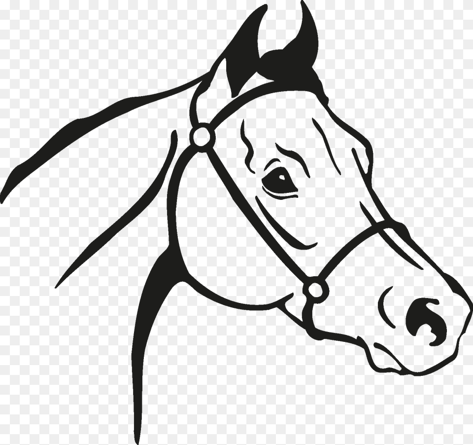 Horse Vector, Stencil, Halter, Shark, Sea Life Png