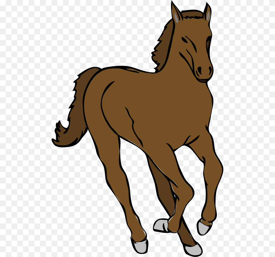 Horse Vector, Animal, Colt Horse, Mammal, Person Png Image