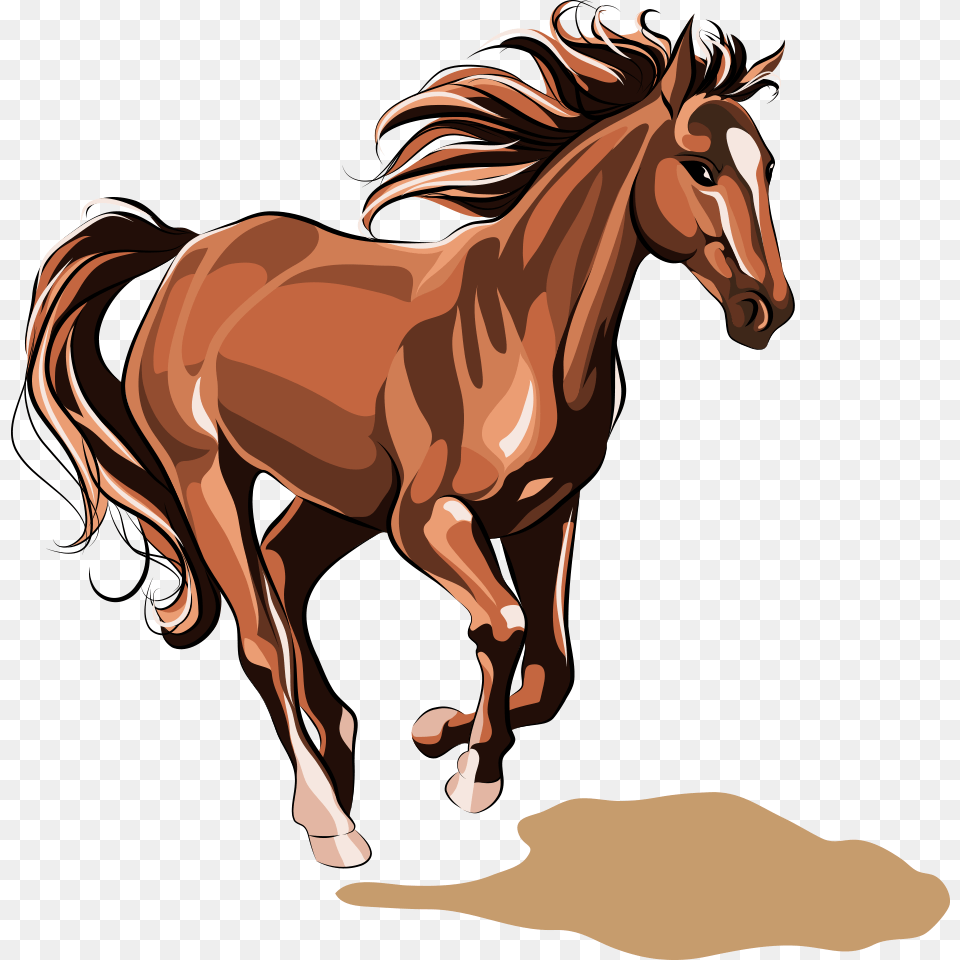 Horse Vector Illustration, Animal, Colt Horse, Mammal, Stallion Free Png Download