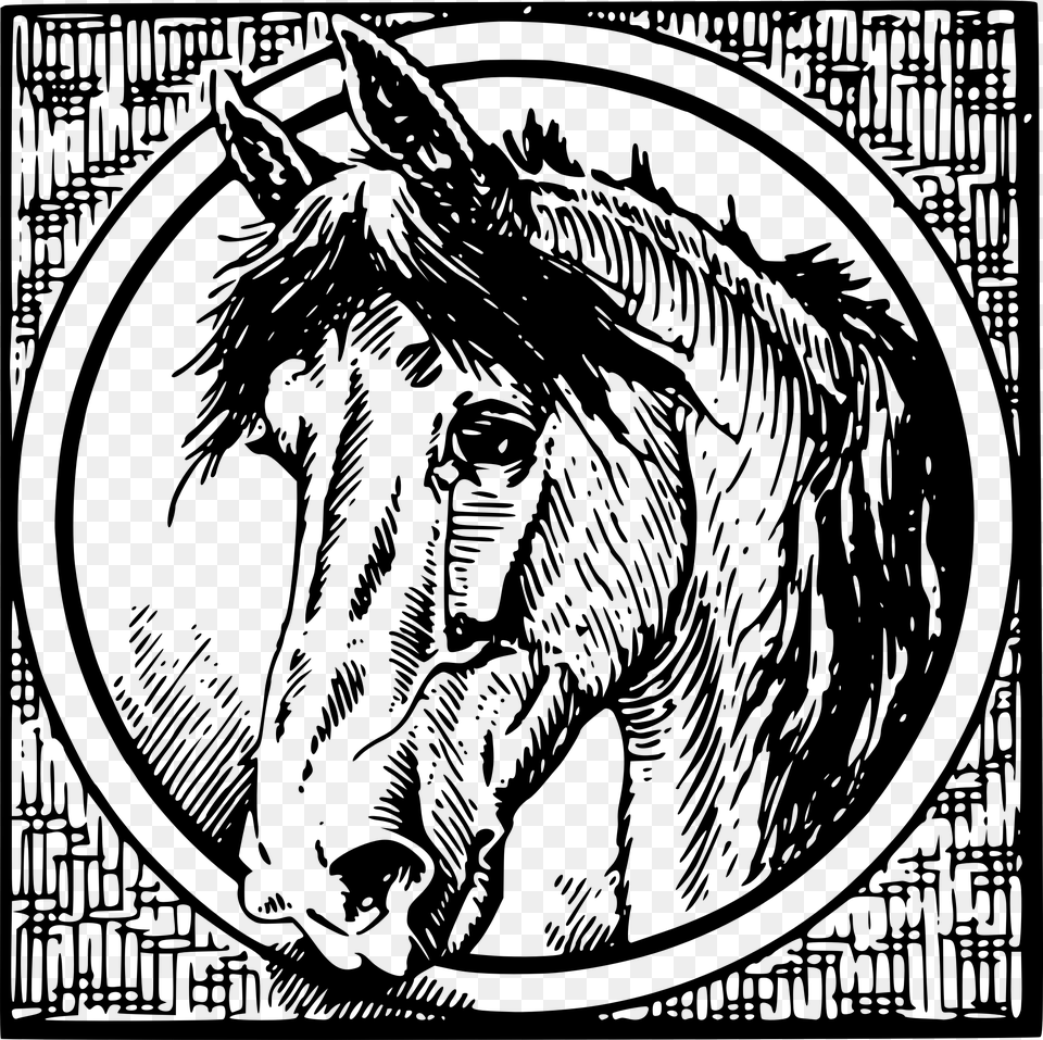 Horse Vintage Black White, Gray Png