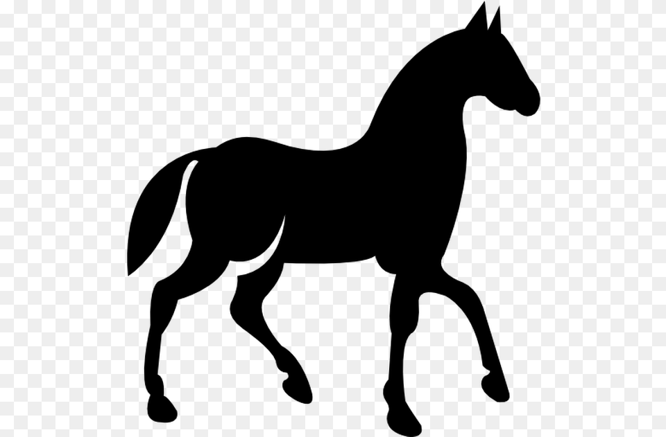 Horse Walking Icon, Gray Png Image