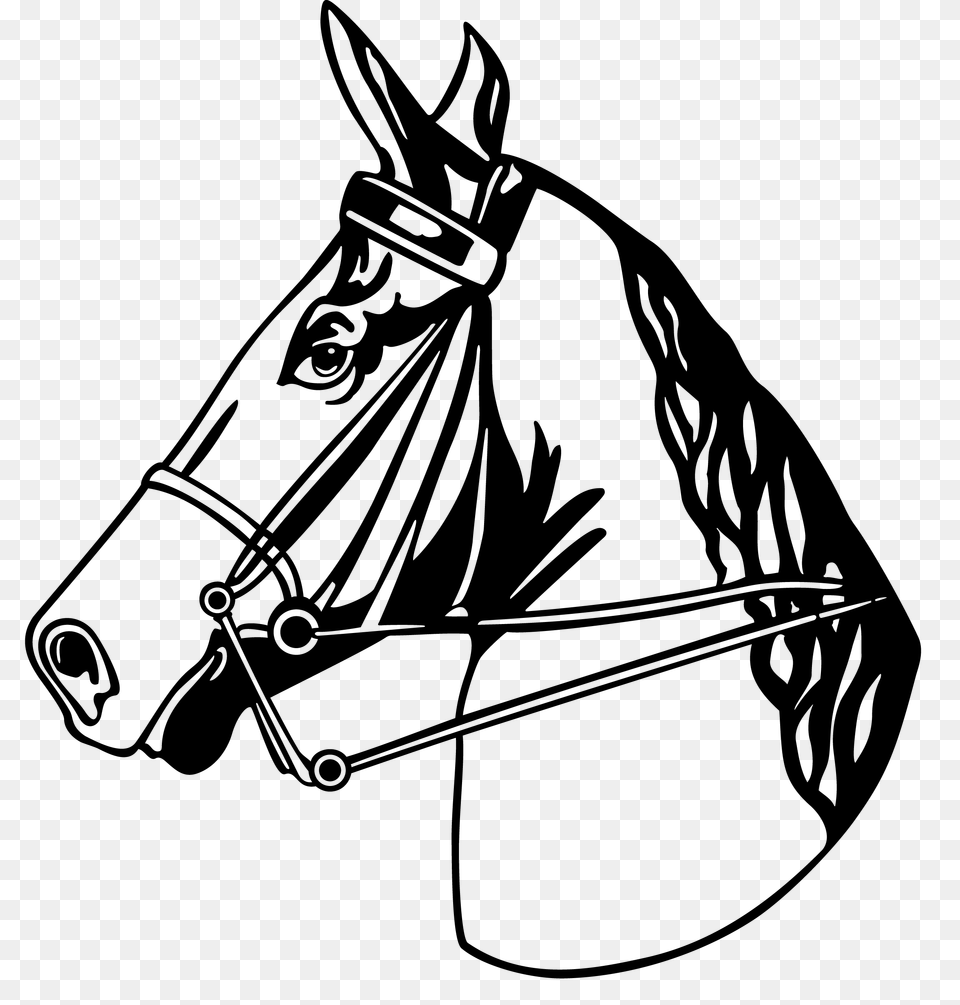 Horse White Black Clip Art, Halter, Animal, Mammal, Drawing Png Image
