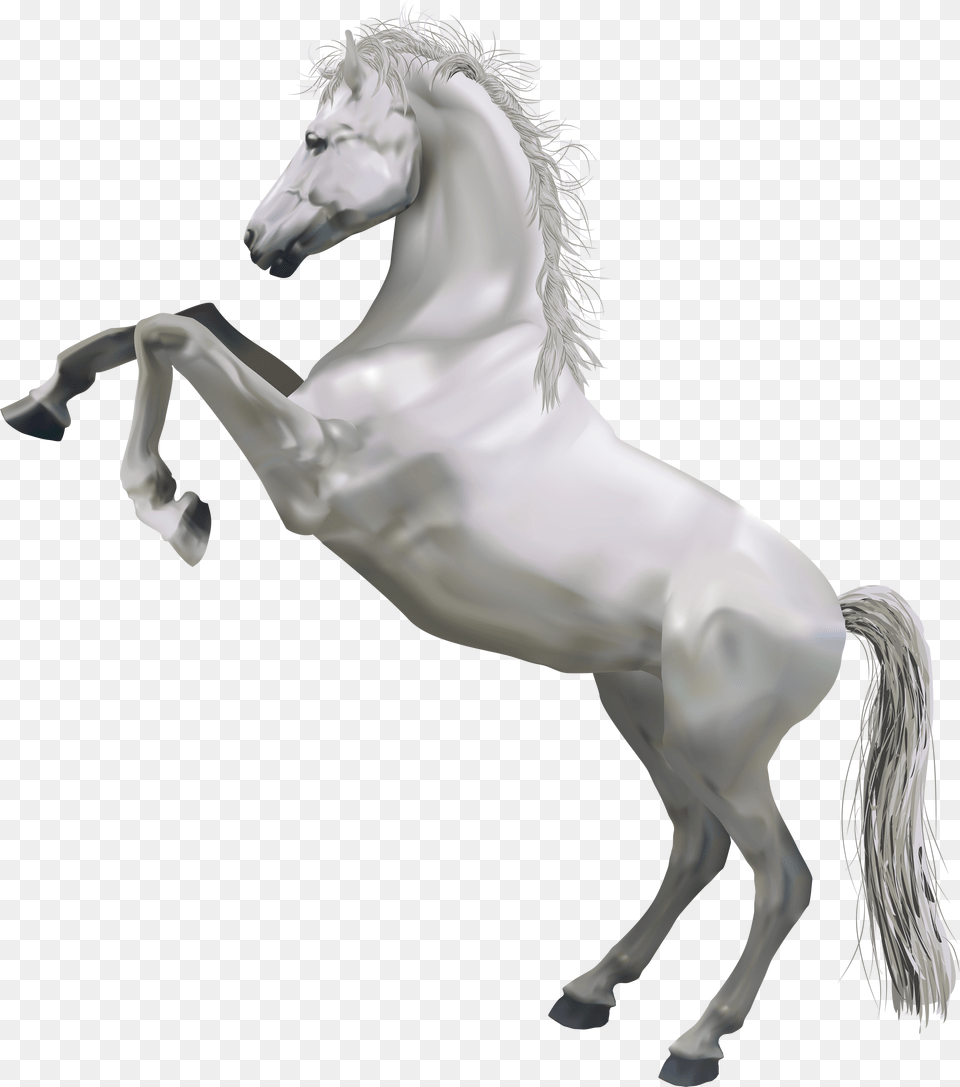 Horse White Clip Art White Horse, Animal, Mammal, Stallion Png