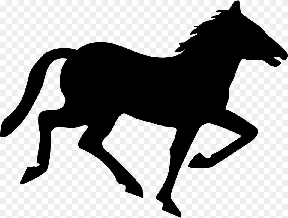 Horse Wild Horses Or Ponies, Gray Png Image