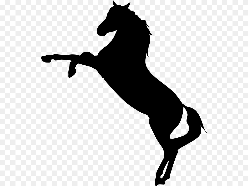 Horse Wild Mustang Rearing Racer Silhouette Mustang Horse Silhouette, Gray Free Png Download