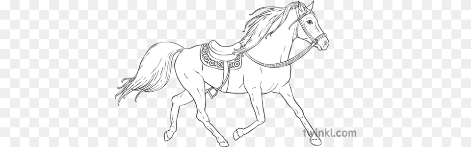 Horse With Golden Mane The Firebird Russian Traditional Line Art, Andalusian Horse, Animal, Mammal Free Png