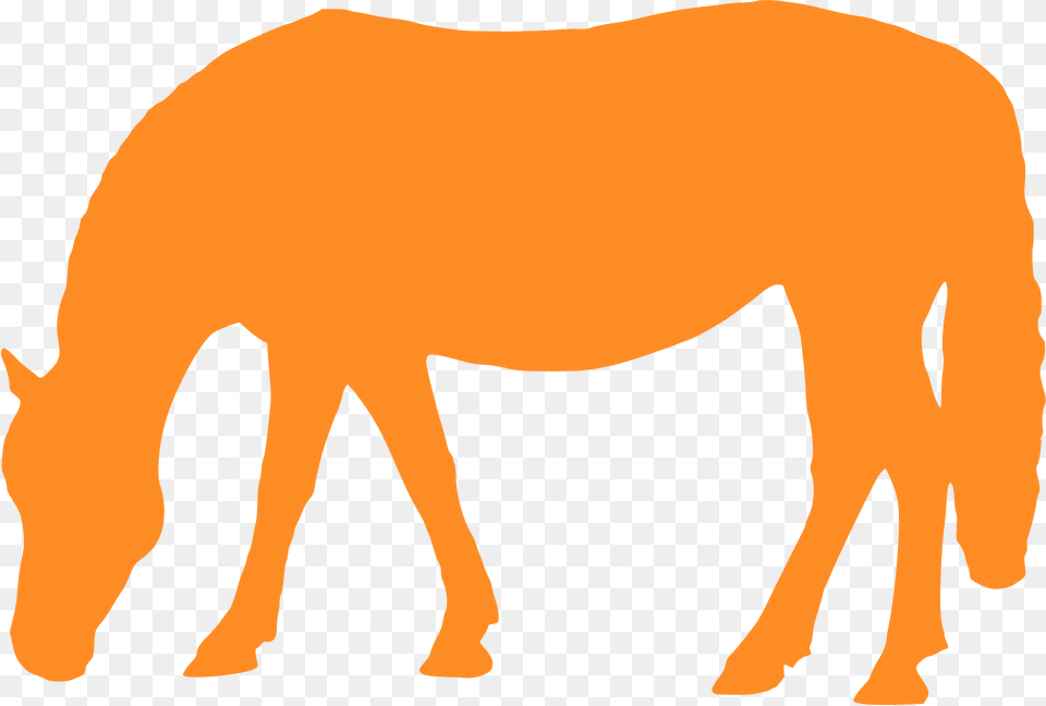 Horse With Head Bowed Silhouette, Animal, Mammal, Bear, Wildlife Free Transparent Png