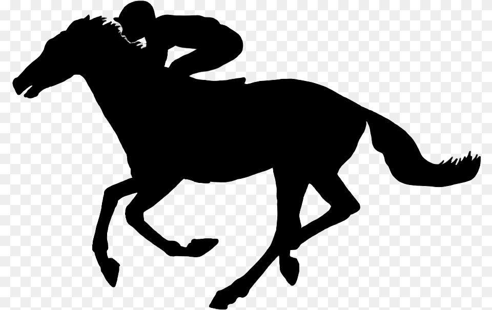 Horse With Jockey In Galop Silhouette Horse And Jockey, Animal, Mammal, Person, Colt Horse Free Png