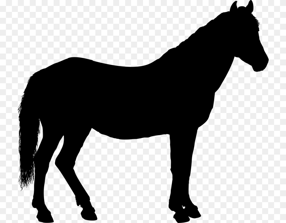 Horseamprider Equestrian Silhouette Pony, Gray Png