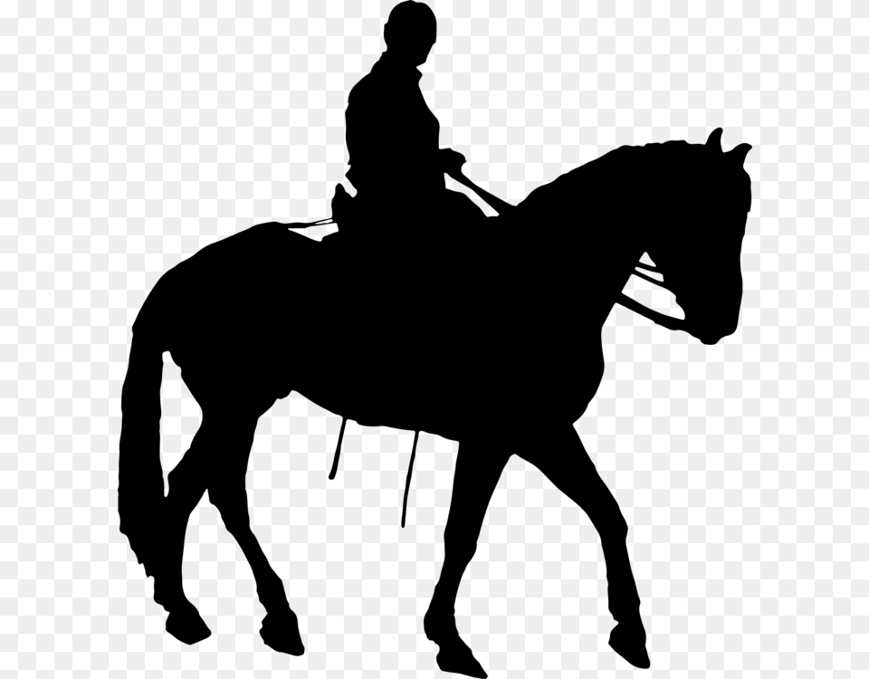 Horseamprider Equestrian Silhouette Rearing, Gray Free Transparent Png
