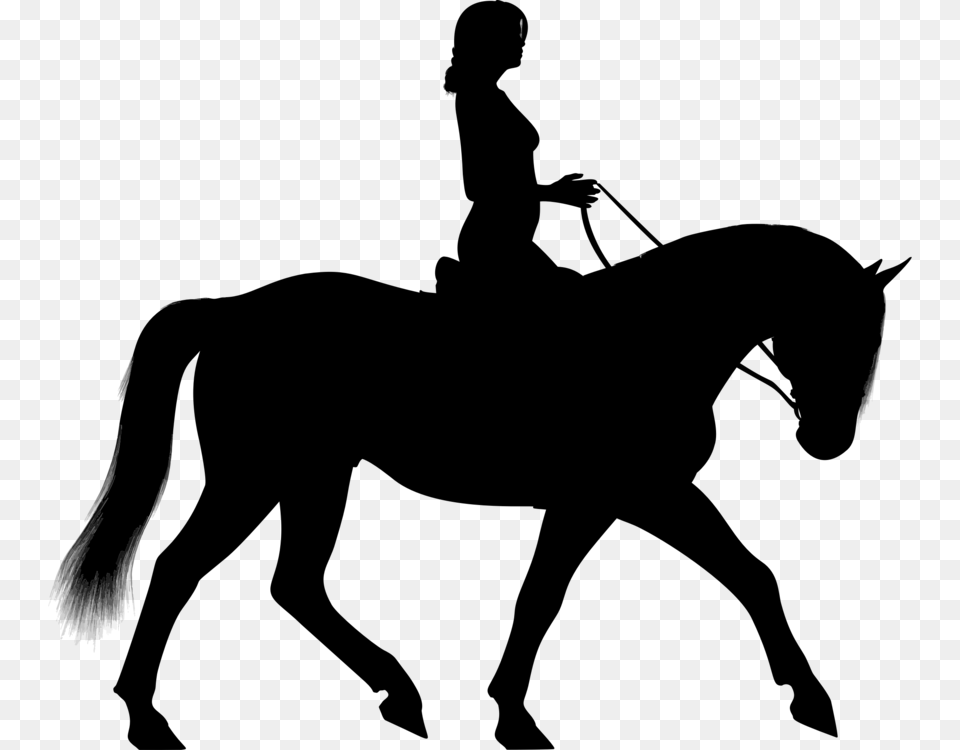 Horseamprider Equestrian Western Pleasure English Riding, Gray Png