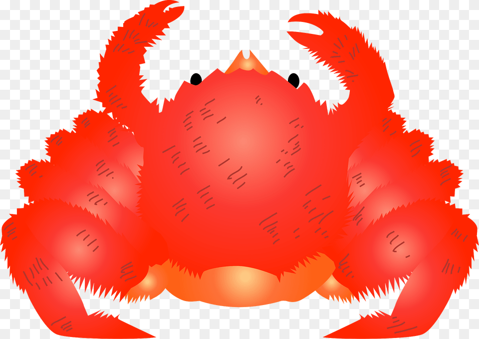 Horsehair Crab Clipart, Food, Seafood, Animal, Invertebrate Free Png Download