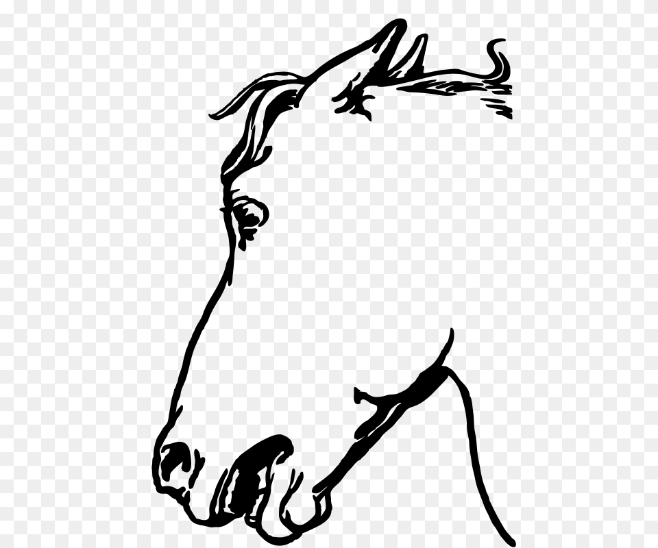 Horsehead, Gray Png Image