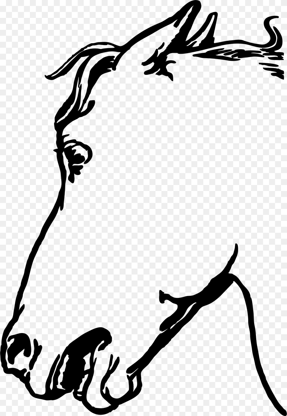 Horsehead Clip Arts Gambar Sketsa Kepala Kuda, Gray Free Transparent Png