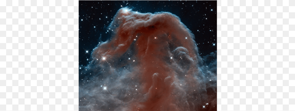 Horsehead Nebula In Infrared Horsehead Nebula Infrared, Astronomy, Outer Space, Animal, Bear Free Png