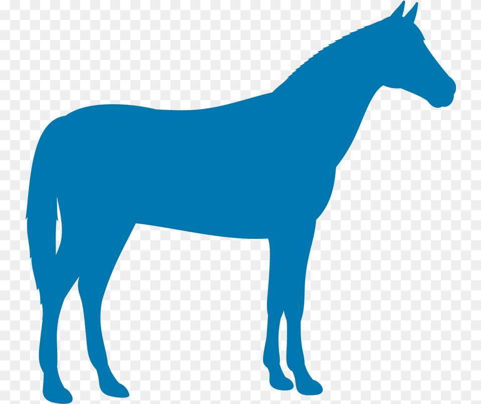 Horseicon Kindredbio Equine Farm Animal Silouette, Colt Horse, Horse, Mammal, Person Free Transparent Png