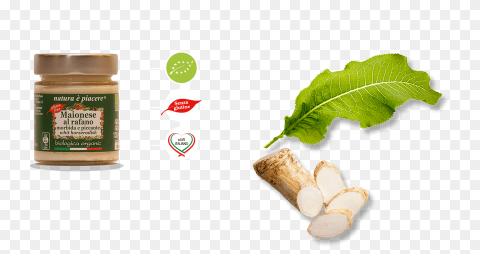 Horseradish, Herbal, Herbs, Plant, Leaf Png