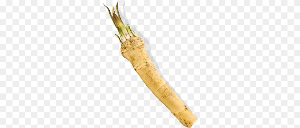 Horseradish, Food, Produce, Blade, Dagger Free Png