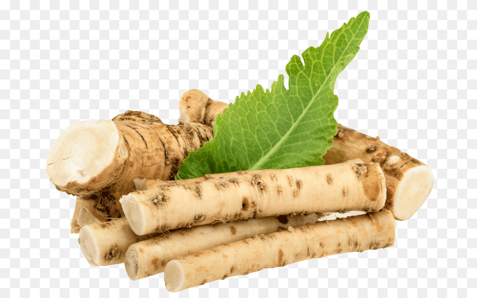 Horseradish, Herbal, Herbs, Plant, Leaf Free Transparent Png