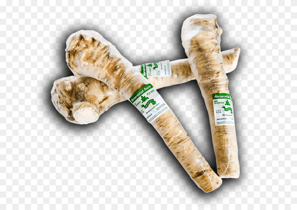 Horseradish, Food, Produce, Parsnip, Plant Png Image