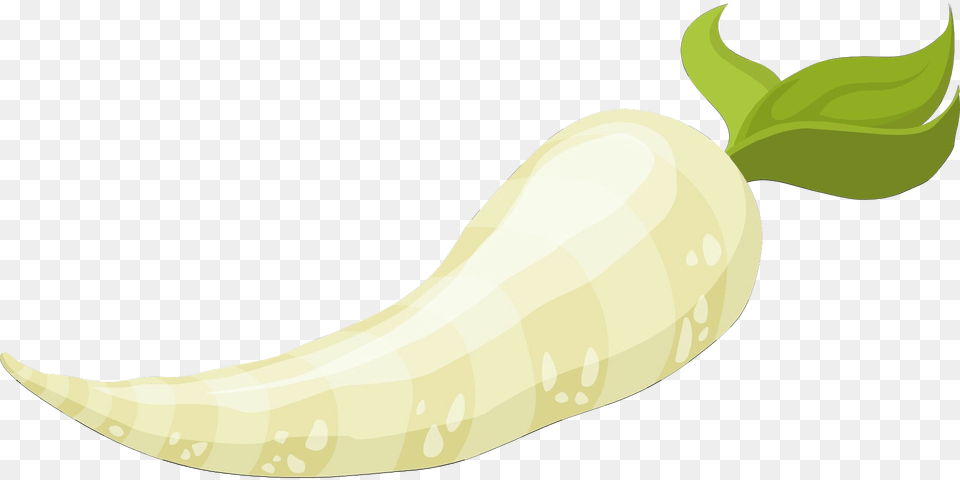 Horseradish, Food, Produce Free Transparent Png